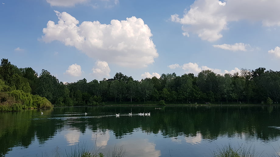 lago parco cigni